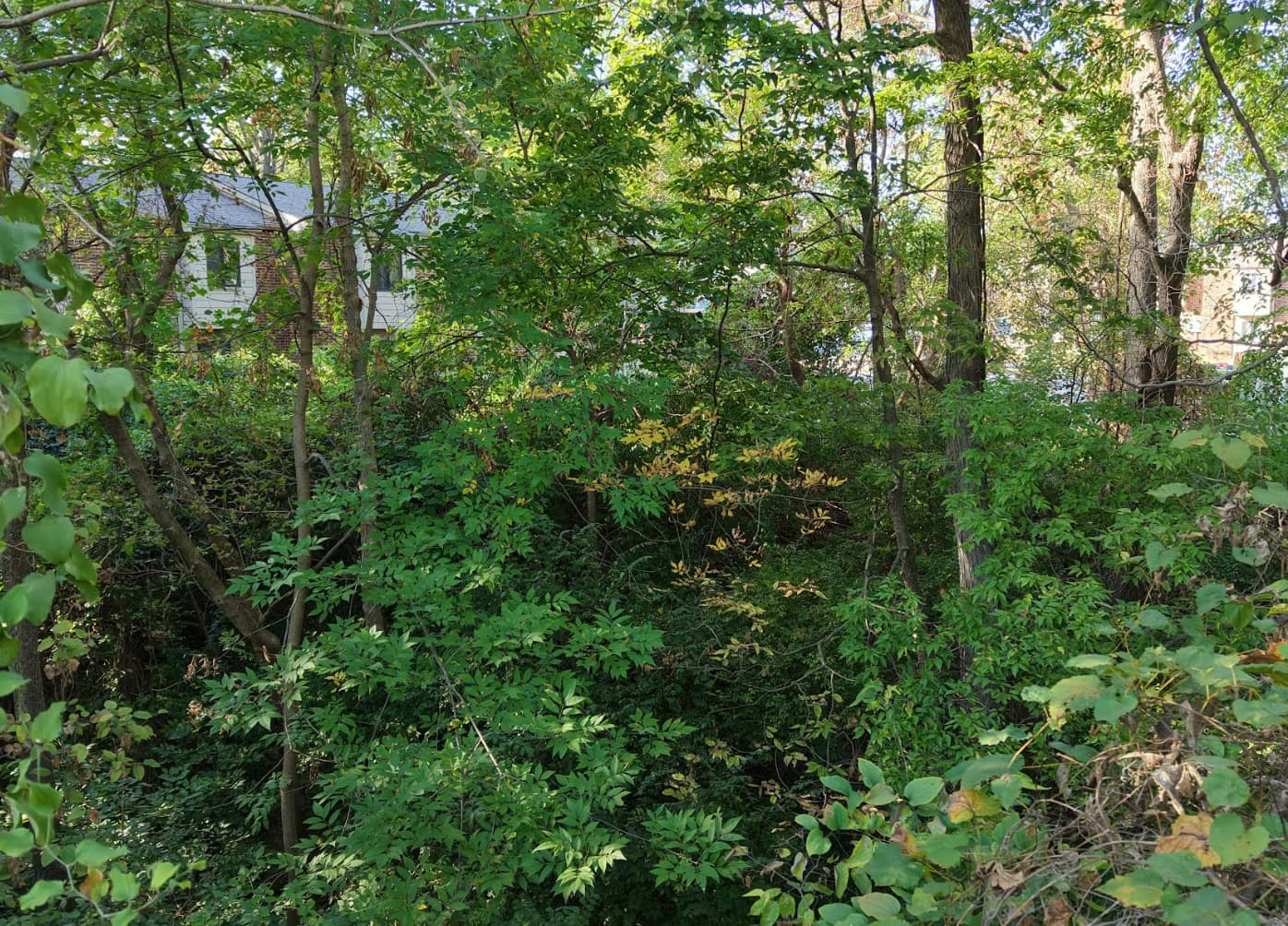 "Land at 7614 Genesta St, St. Louis, MO"