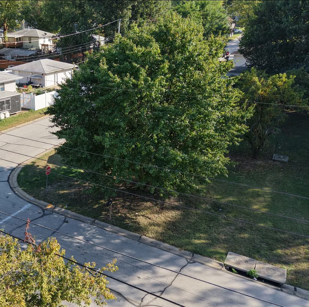"Land at 206 Flora Dr, Hazelwood, MO"