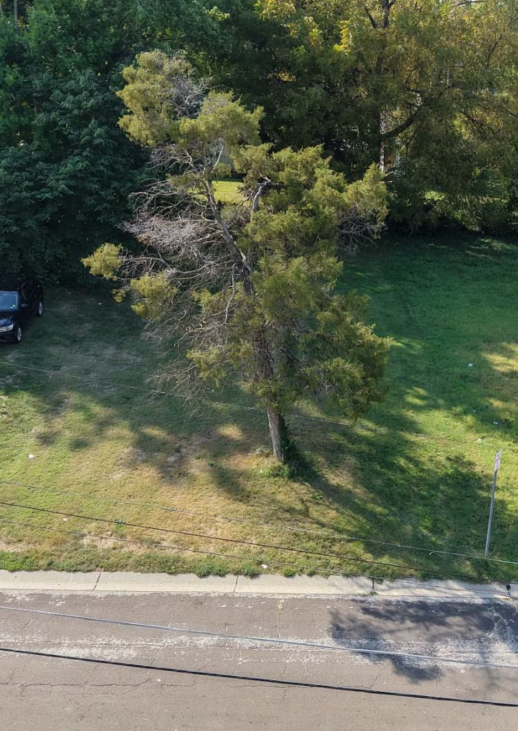 "Land at 6137 Jackson Ave, Berkeley 63134"